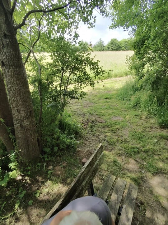 Sex in the forest. I love that.